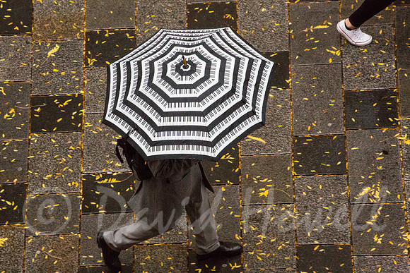 ©Howell_Vienna_umbrella3