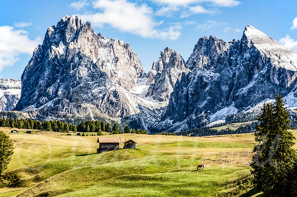 ©Howell_Italy_Dolomites_Alpe_di_Siusi