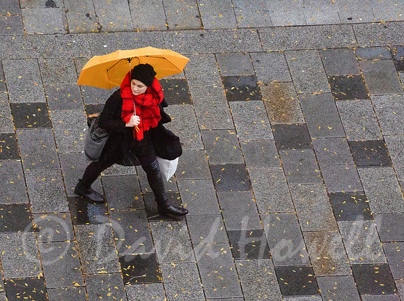 ©Howell_Vienna_umbrella2